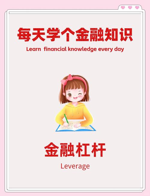 杠杆投资放大效应_金融杠杆是什么意思_金融杠杆风险与收益分析