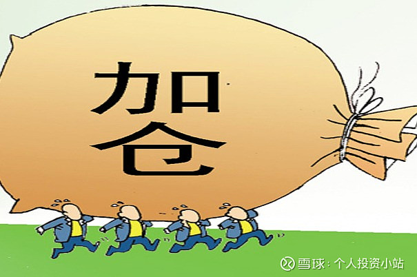 股票杠杆融资融券_股票加杠杆方法_股票怎样加杠杆