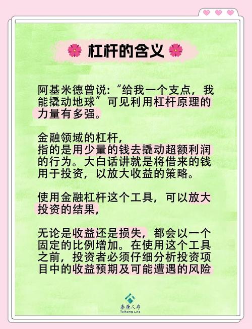 消费龙头股杠杆操作_杠杆股票投资策略_什么是杠杆炒股