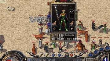 查查配配资_查查配官网入口_配查查