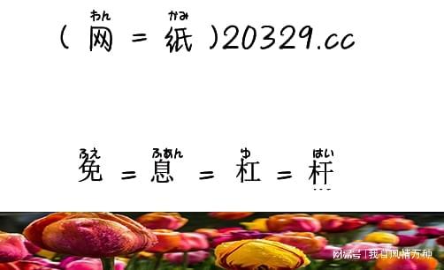 炒股金融杠杆：股市冒险中的财富魔法棒，操作似有趣庆祝