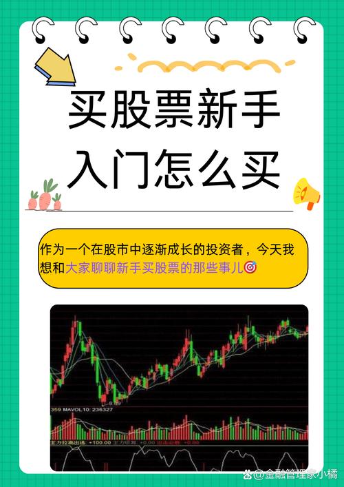 新手入门股票投资_股票基础知识学习_股票怎么买新手入门