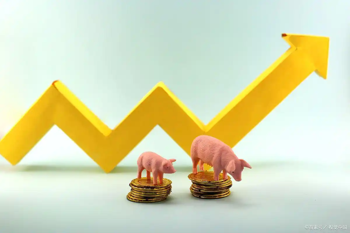 2万元融资融券操作方法_炒股加杠杆怎么操作_杠杆炒股定义与风险