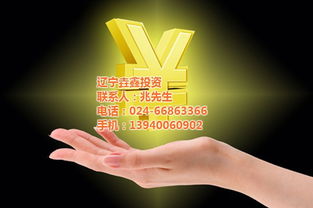 新手小额买股票指南！从开户到入门，一文带你轻松上手